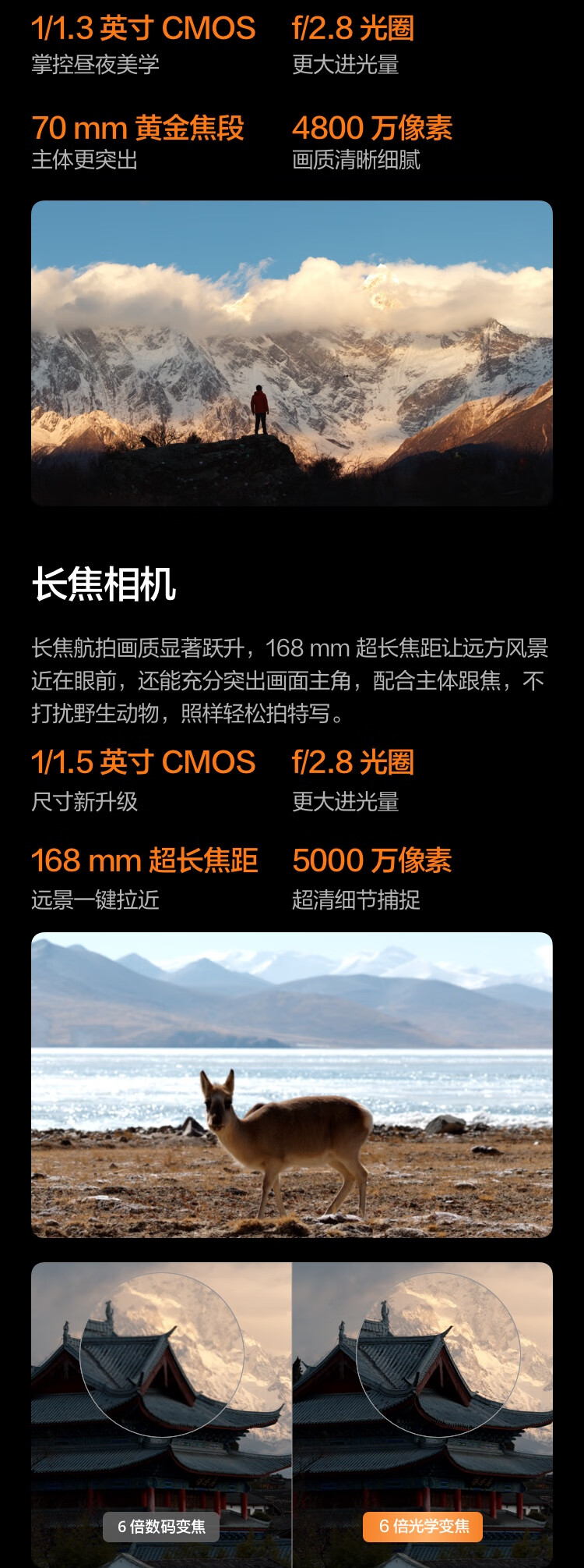 b5cac0a1b85a1565bfaefee43975a316.jpg
